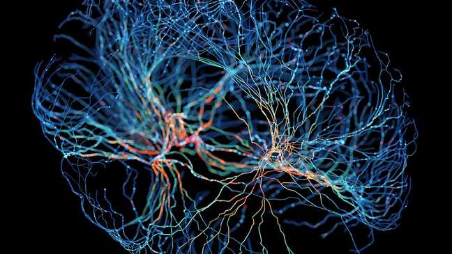 Visualization of brain connections Visualization of brain connections