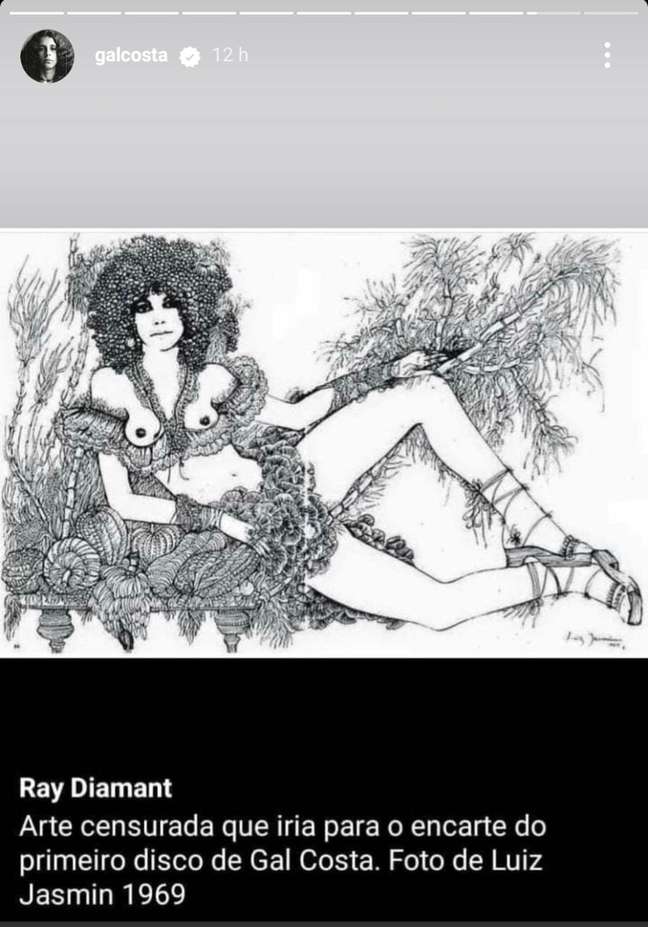 Gal Costa tamb&eacute;m publica sobre arte censurada