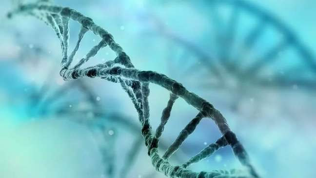 Acaso criou sequ&ecirc;ncias ou &aacute;reas de DNA id&ecirc;nticas entre pares de pessoas estudados, dizem cientistas