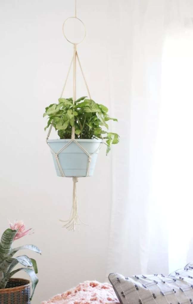 Persia Lou/the spruce / Casa.com