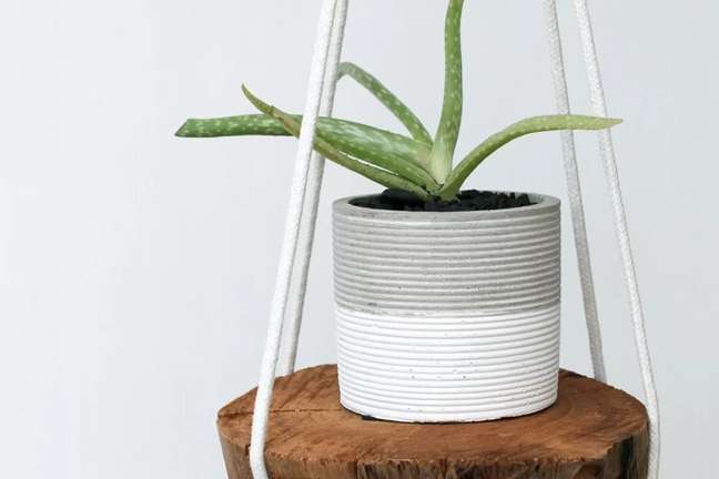 Dossier/the spruce / Casa.com