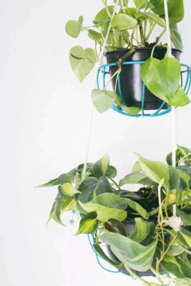 A Joyful Riot/the spruce / Casa.com
