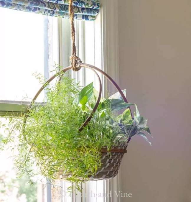 Heart&Vine/the spruce / Casa.com