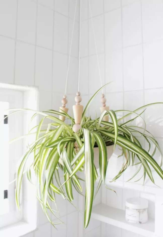 Almost Perfect/the spruce / Casa.com