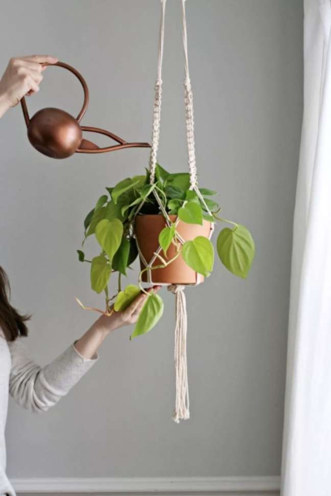 Hello Nest/the spruce / Casa.com