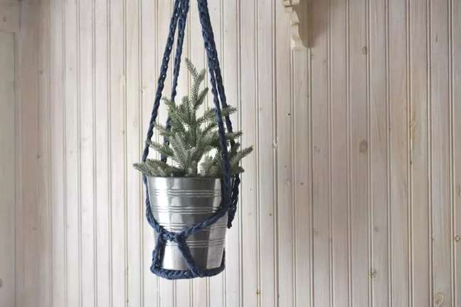 Mollie Johanson/the spruce / Casa.com