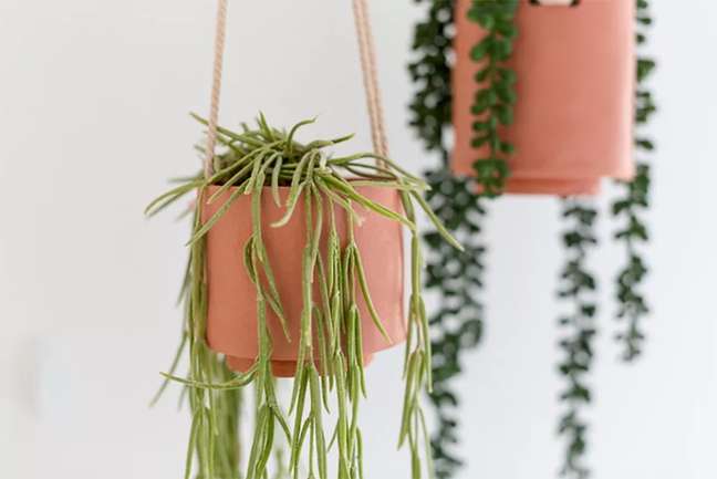 Fall For DIY/the spruce / Casa.com