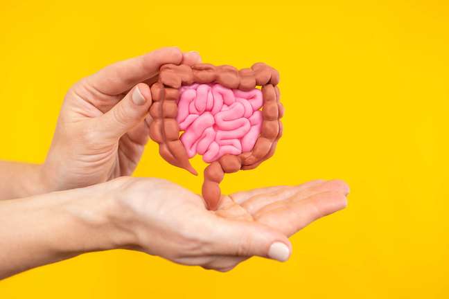 Diverticulitis: know the symptoms and forms of treatment