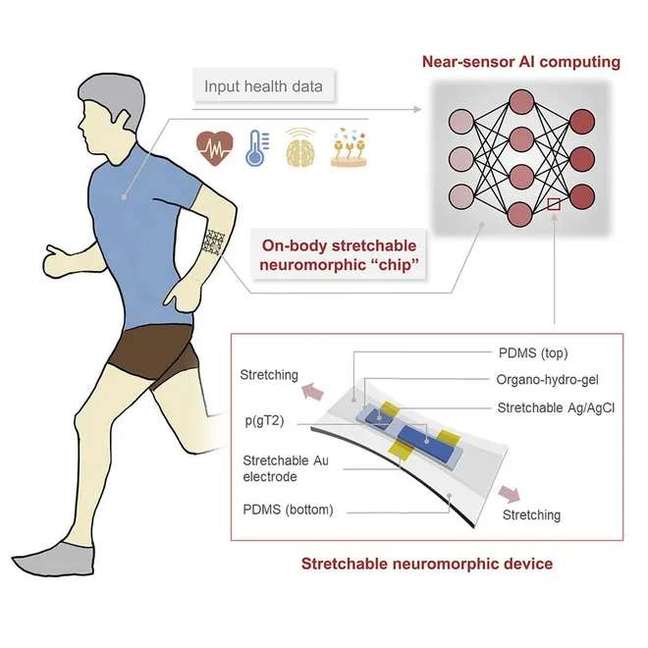 Diagram of how the neuromorphic chip works (Image: Reproduction/PME) Diagram of how the neuromorphic chip works (Image: Reproduction/PME)