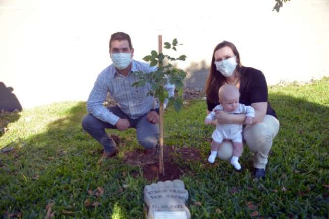 A tree for every child born: discover the project!
