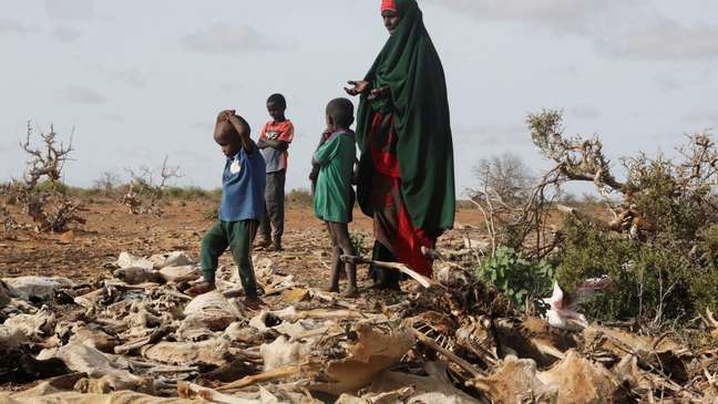 The intense drought in Somalia has caused a lot of damage to the local population