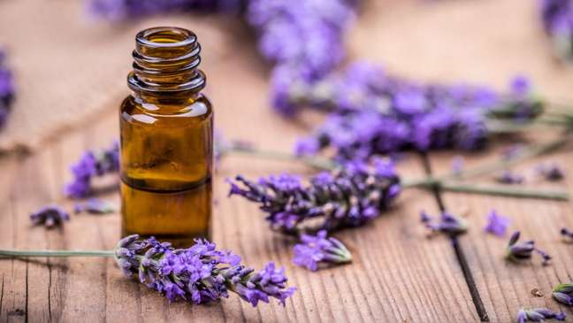 Essential oils: 6 options to awaken your feminine power