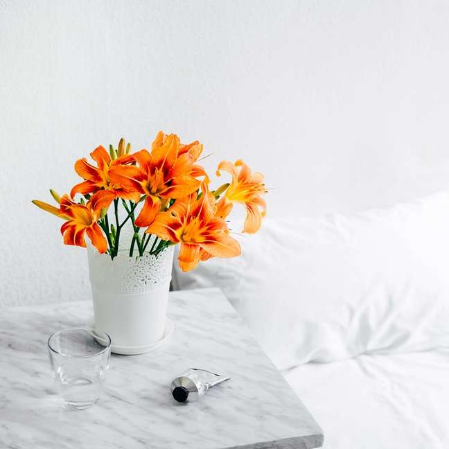 10 plants that bloom at home
