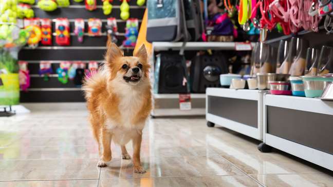 Afraid of the pet store?  The expert offers troubleshooting tips