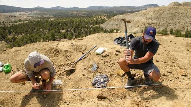 Estudar fósseis e registros geológicos é o trabalho dos cientistas que 'caçam' as extinções em massa do passado