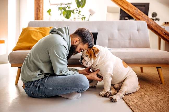 Dogs and cats can experience anxiety;  explains the vet