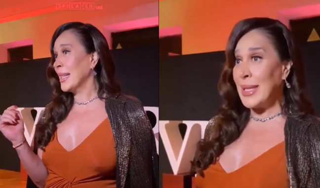 Claudia Raia is massacred on the web after stating that a journalist ‘must know’ her son’s name: ‘Grossa’.  Video!