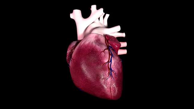 Extreme weather conditions can lead to heart failure, study finds (Image: Madi7779/Envato) Extreme weather conditions can lead to heart failure, study finds (Image: Madi7779/Envato)