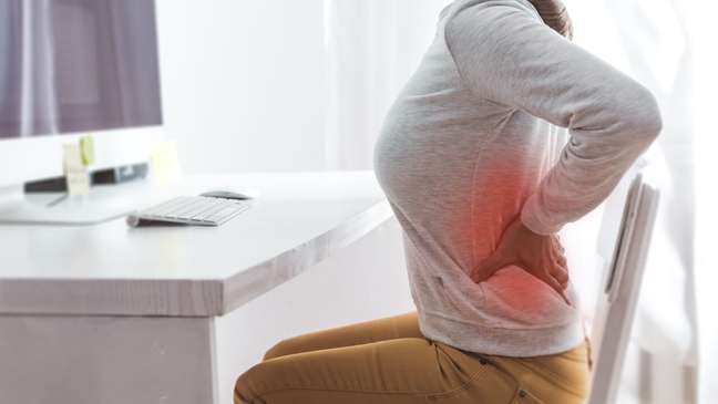 Lumbar pain?  Exercises can be the solution;  comprehend
