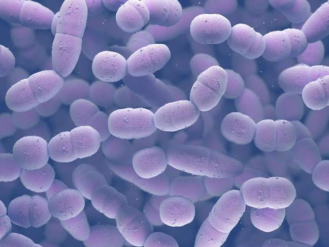What is the Streptococcus A bacterium and how does it work in children