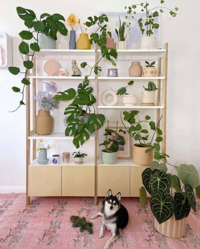 Hothouse Jungle/Instagram / Casa.com