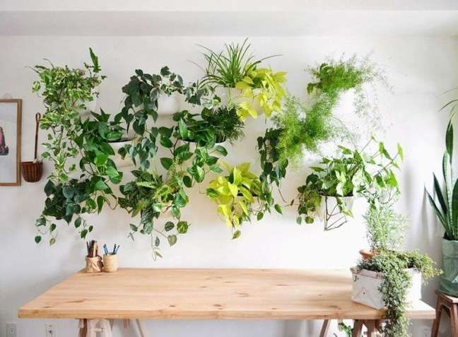 ReproduΓ§Γ£o//Pinterest / Casa.com