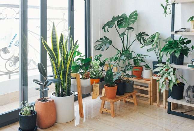 ZoomTv/ReproduΓ§Γ£o / Casa.com