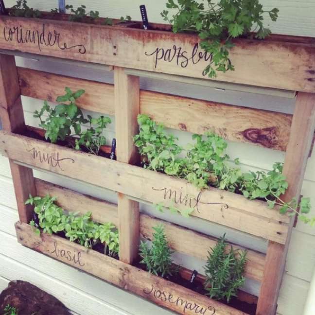 Hanging Herb Garden Pallet: You'll be an Instagram bomb the moment you post this absolutely mesmerizing vertical pallet herb garden. Artist Zina and her husband have assembled a complete pallet in their backyard. The plastic trays fit snugly between the slots. The final touch is the names of the herbs painted on the wood! Hanging Herb Garden Pallet: You'll be an Instagram bomb the moment you post this absolutely mesmerizing vertical pallet herb garden. Artist Zina and her husband have assembled a complete pallet in their backyard. The plastic trays fit snugly between the slots. The final touch is the names of the herbs painted on the wood!