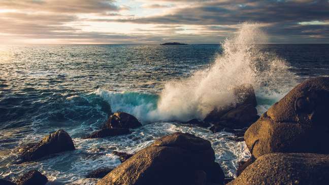 What is the largest ocean in the world?