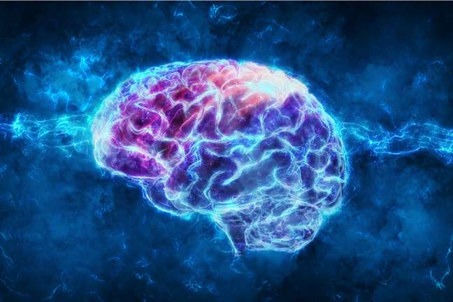 Information such as cycling and driving is stored in a separate area of ​​the brain. 