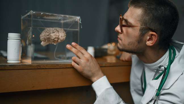 5 curiosities we discovered about the brain in 2022