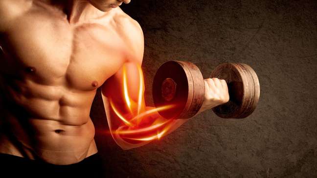 How many exercises should I do for each muscle?  Comprehend