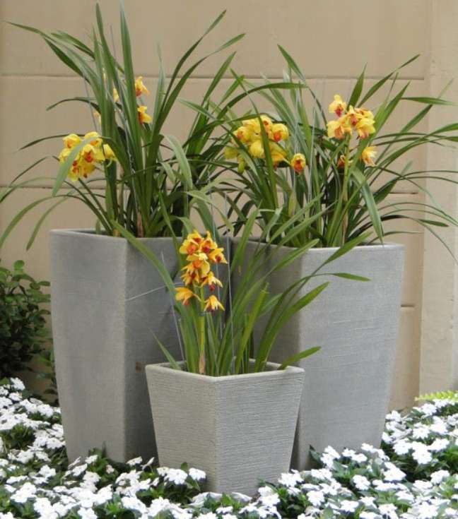 Earthen pots. Earthen pots.