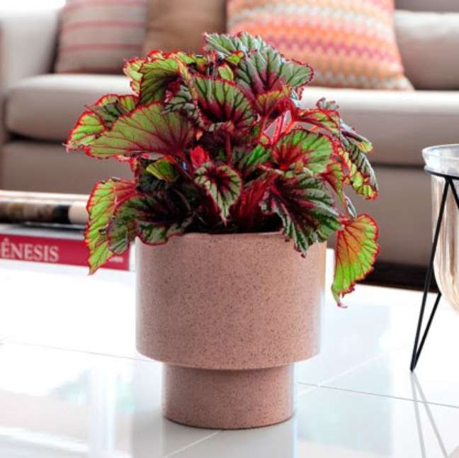 Loft vase, by Vasart, in Artstone Rosa. Loft vase, by Vasart, in Artstone Rosa.