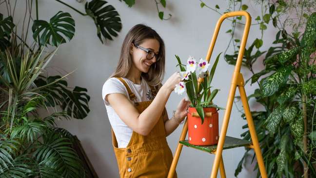 4 valuable tips for taking care of plants and flowers in summer
