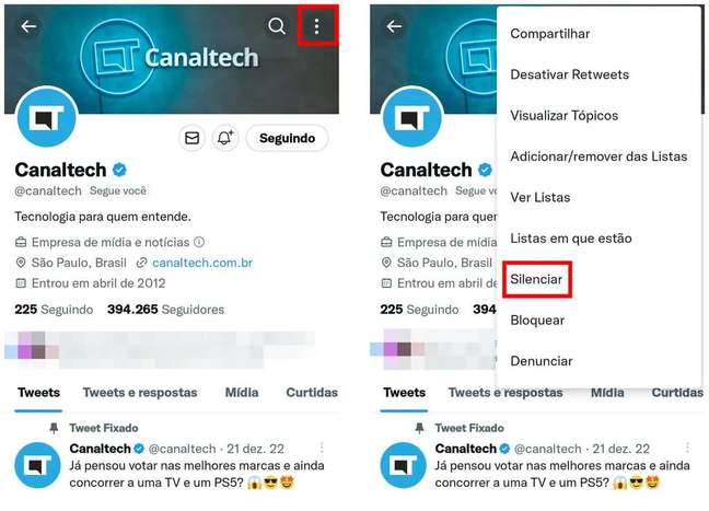 Access the profile you want to mute if you want to organize the timeline (Rodrigo Folter/Screenshot)