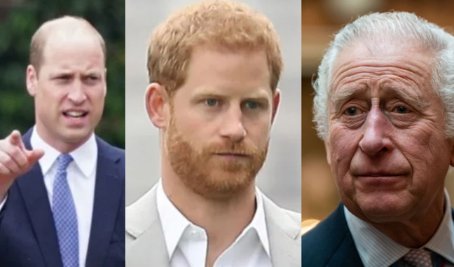 Will peace reign?  Palace prepares reconciliation summit for Harry, William and Charles III