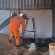 Homem morre soterrado por grãos de café após colapso de silo em MG
