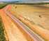 Homem se jogou na estrada para evitar ataque do animal Foto: Reprodução: Dnit