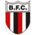 Logo do Botafogo-SP