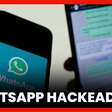 WhatsApp hackeado? Especialista explica o que fazer