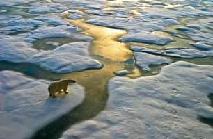 A conta das mudanças climáticas