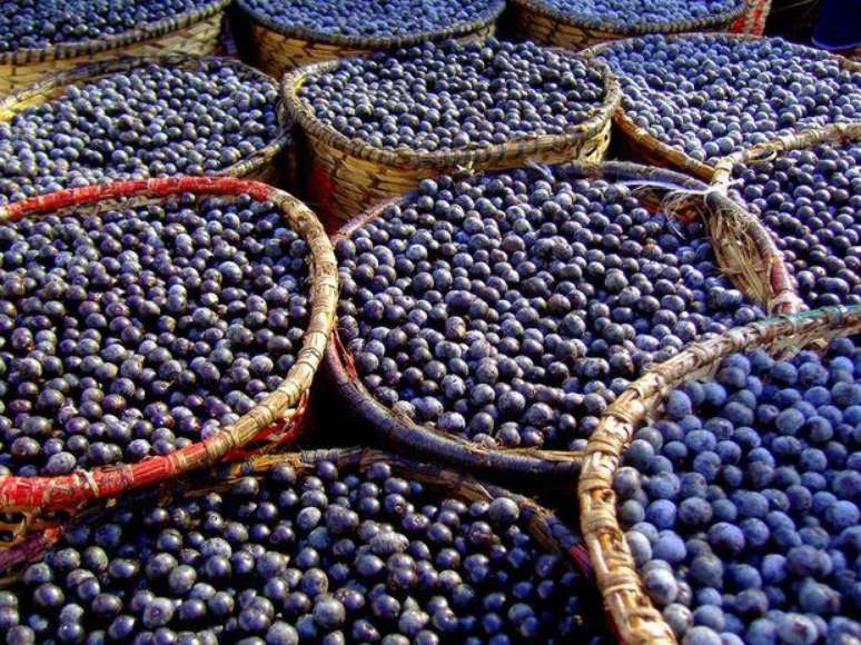 Açaí é rico em antocianinas - pigmentos naturais presentes nas frutas vermelhas e arroxeadas - que ajudam a manter o colágeno íntegro, dando firmeza e tônus à pele