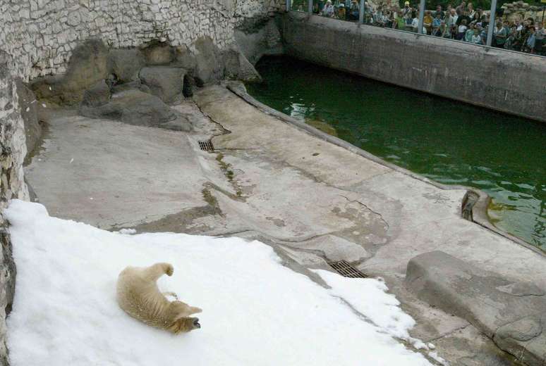 O Zoológico de Moscou, na Rússia, tem mais de sei mil animais diferentes