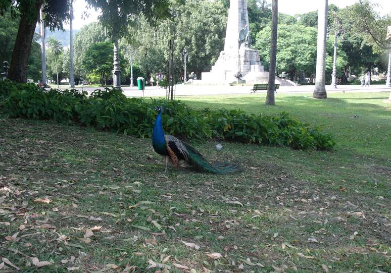 Turistas e moradores aproveitam os dias de sol para descansar à sombra das diversas espécies de árvores que a região abriga