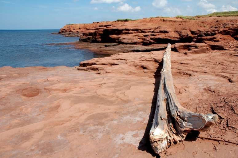 Costa do Golfo, EUA: esta é uma área que se tornou sinônimo de "vazamento de petróleo". Mas muita coisa aconteceu desde que uma operação de perfuração de águas profundas na costa da Louisiana foi fatalmente feita, em 2010. A Costa do Golfo se recuperou. Dunas de areia mais uma vez brilham e viajantes sazonais voltam a desfrutar águas mornas do Golfo, além de verem uma grande variedade de peixes locais