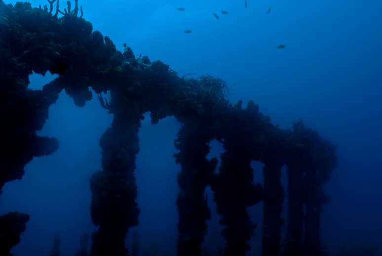 Mais popular naufrágio das Ilhas Virgens Britânicas, o RMS Rhone é um navio afundado durante um furacão, em 1867, com 125 pessoas a bordo