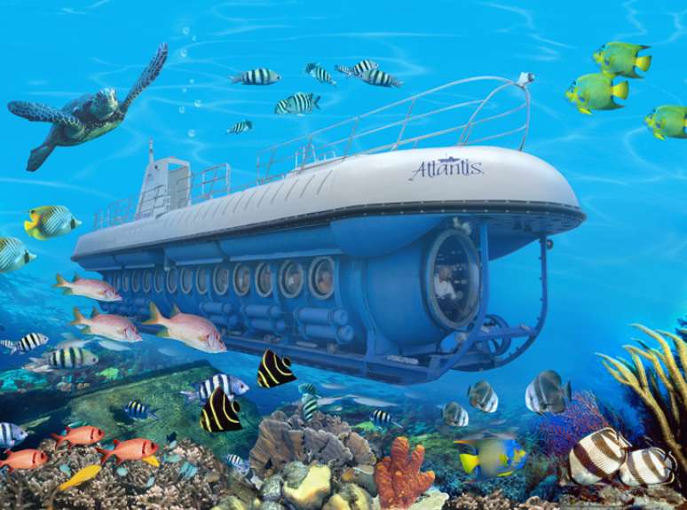 Passeio no Submarino Atlantis Adventures encanta desde crianças até adultos pela rica diversidade da exótica vida marinha