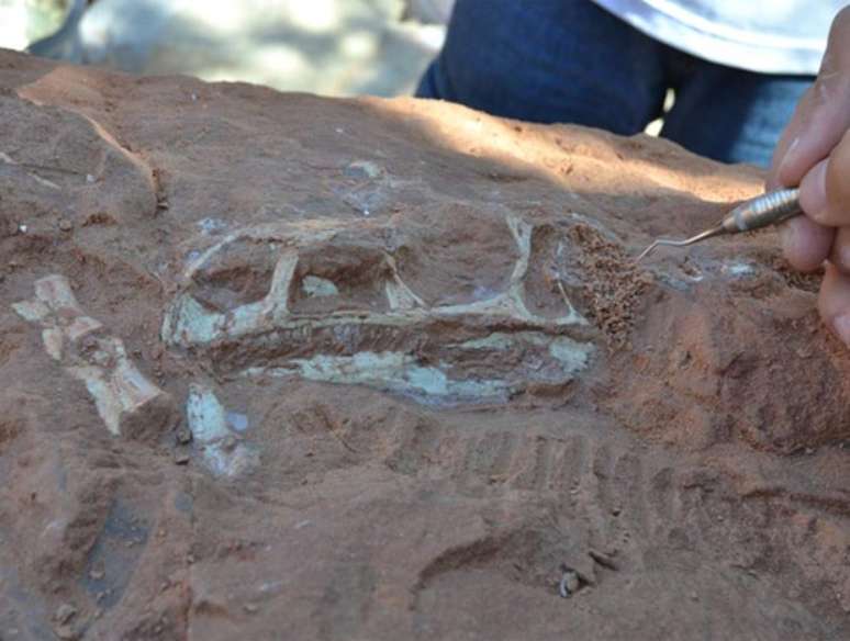 Fóssil de dinossauro fica exposto em rocha no município de Agudo, no Rio Grande do Sul. Segundo o professor Sérgio Dias da Silva, os fósseis são os mais completos já encontrados no Brasil