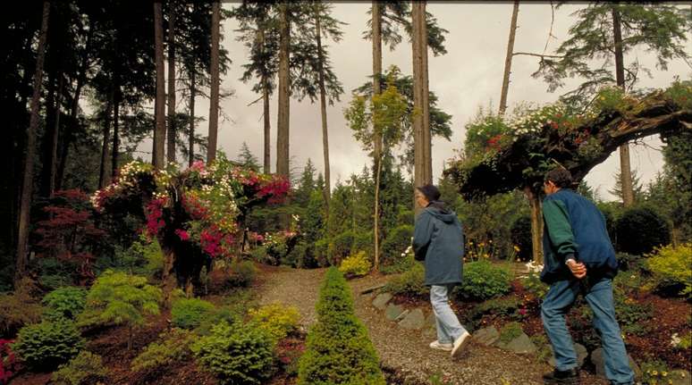 Em Juneau os turistas podem aproveitar fazer trilhas na floresta